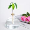 Avocado Tree Growing Kit Avocado Seed Starter Avocado Garden Vase Glass Pot Indoor Gardening Gift for Plant Lover Women Friends
