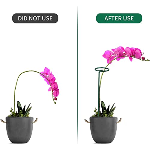 OAHAO 6 Pack Plant Stakes for Flowers, Metal Single Stem Plant Support, Plant Cage Support Ring with 10 pcs Plant Clips for Climbing Plants Garde