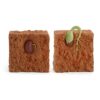 URFEDA Life Cycle Figurines of Plant, Growth Cycle Toys for Kids Learning and Teaching Aids Plant Life Cycle Growth Cycle Model Life Cycle Plant
