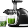 AMZCHEF Juicer Machines - Cold Press Slow Juicer - Masticating Juicer for Whole Fruits and Vegetables - Delicate Chew No Need to Filter - BPA Fre