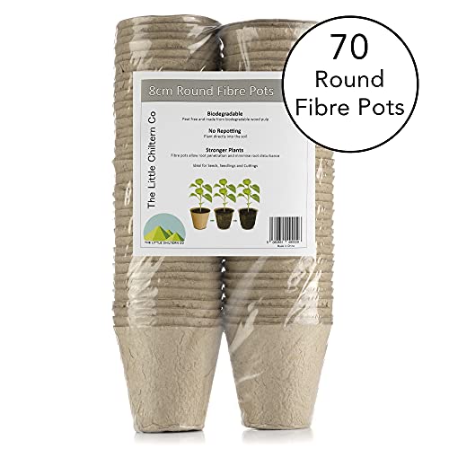Little Chiltern Co 70 pack Biodegradable Plant Pots for growing Seeds - Round Fibre seedling pots for Outdoor Indoor Growing Plants - Seed starte