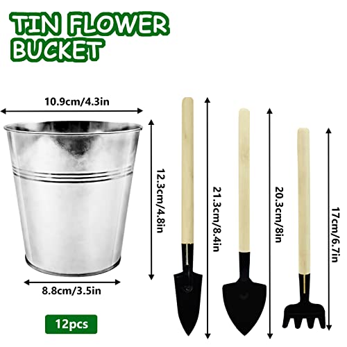 WAIZHIUA 12Pcs 12cm Metal Flower Pots Galvanised Iron Plant Pots Garden Planters Plant Container with Mini Tools for Plants Herb Flowers Shrubs I