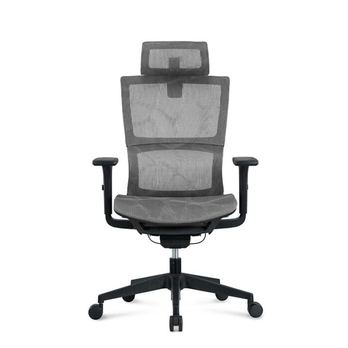 Homesbrand Ergonomic Home Office Mesh Chair, Computer Chair with Adjustable Headrest & Elastic Lumbar Support & 3D Armrest, High Back Executive S
