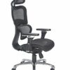 Office Hippo Ergonomic Chair Office, Office Chair with Back Support, Office Chair with Arms, Mesh, Swivel, Black