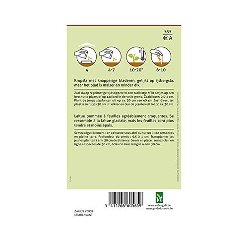 Lettuce Batavia Seeds - Head with Pleasantly Crisp Leaves - 3 g - Seeds: 800