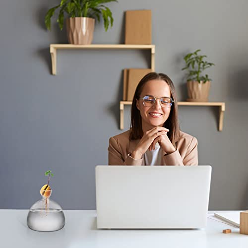 Hiceeden Avocado Seed Starter Vase Planter, Clear Avocado Tree Growing Kit Pot, Medium Avocado Vase Grow Glass Plant Pot Gift for Indoor Outdoor