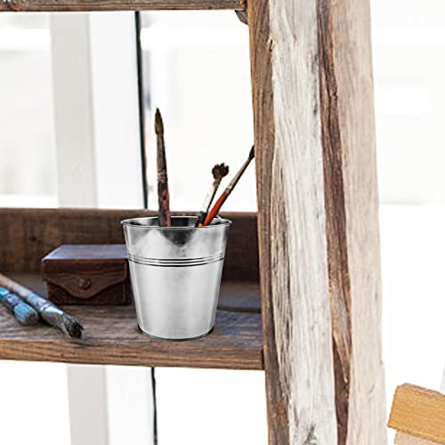 WAIZHIUA 12Pcs 12cm Metal Flower Pots Galvanised Iron Plant Pots Garden Planters Plant Container with Mini Tools for Plants Herb Flowers Shrubs I