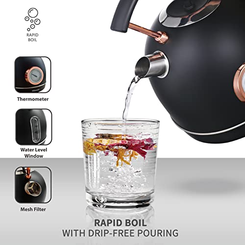 Rasonic Classic Retro Electric Kettle 1.8L Stainless Steel, 3KW Fast Quiet Boiling, Temperature Gauge, LED Light, Auto Shut-Off, Home Kitchen, Of