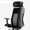ZXNRTU Relax Comfortably Safe Ergonomic Office Chair, Mesh Computer Desk Chair with Adjustable Lumbar Support, Armrest, Headrest - High Back Exec