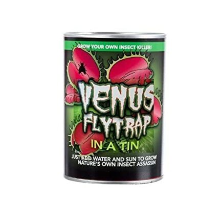 Funtime Gifts EG7100 Venus Fly Trap, Grow Your Own Plant Kit