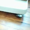 SKOAJAS Plate Casters Ball Caster Wheels Moving Caster Wheels,Swivel Wheels for Furniture,TPR Trolley Wheels,360 Degree Rotating Ball Castors wit