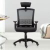 WALNUT Chairs,Office Chair High Back Mesh Office Chair with Adjustable Headrest, Armrest, Seat Height, Lumbar Support and Tilt Tension(Color : Bl
