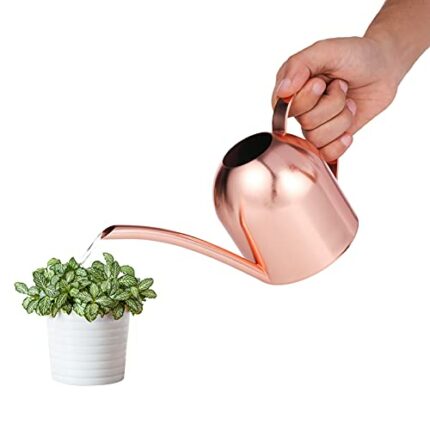 Saicowordist 17.6OZ / 500ML Rose Gold Indoor Watering Can Small, Ornate Stainless Steel Metal Long Spout Bonsai Mini Watering Can, Watering Pot f