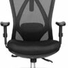 Duramont Ergonomic Office Chair - Adjustable Desk Chair with Lumbar Support and Rollerblade Wheels - High Back Chairs with Breathable Mesh - Thic