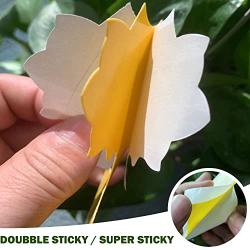 Fruit Fly Trap, 40 Pack Fruit Fly Killer Yellow Sticky Bug Insect Killer Double-sided Insect Catcher Sticky Bug Sticky Fruit Fly Killer for House