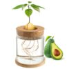 Avocado Tree Growing Kit - Avocado Pit Planting Bowl with Cork and Wooden Base, Cultivating Seedlings in Novel Way, Great Gift for Family Friends