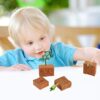 URFEDA Life Cycle Figurines of Plant, Growth Cycle Toys for Kids Learning and Teaching Aids Plant Life Cycle Growth Cycle Model Life Cycle Plant
