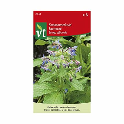 Borage Herb Seeds