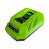 aunstarwei 40V 2A Replacement Battery Charger Compatible with Greenworks 40V Battery Lithium Ion 29482 29462 29472 2901319 2938302 BAF702 L-300 B