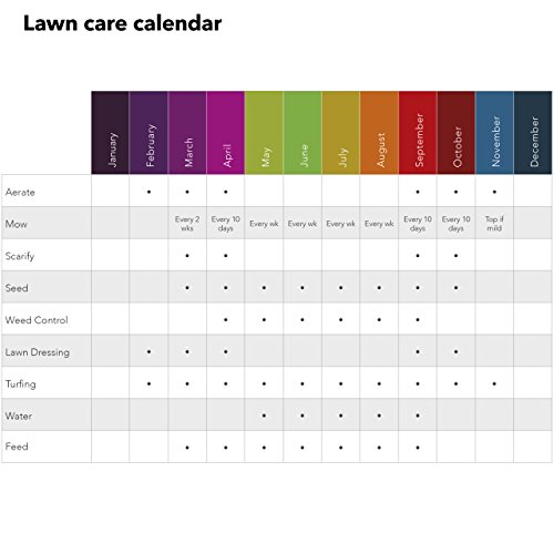 Miracle-Gro EverGreen Mosskill Liquid Concentrate Lawn Food and Moss Control, 66 m2
