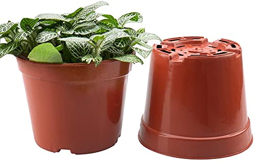 WAIZHIUA 50Pcs 7.5cm Plant Flower Pots, Plastic Plant Nursery Pots Small Flower Plant Container with 100Pcs Plant Labels for Succulent Fruit Vege