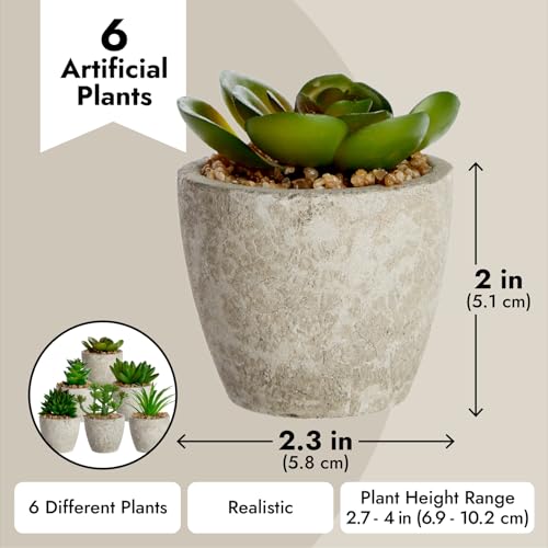 Juvale Artificial Succulents 6 Pack - Cactus Plants with Grey Pots - 4 inch