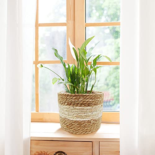 WAIZHIUA 3Pcs Woven Planter Basket with Liner, 3 Sizes Natural Seagrass Woven Plant Pots Flower Pots Baskets Plant Containers Storage Basket for