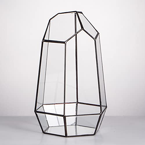 NCYP Geometric Glass Terrarium for Succulent, Air Plants, Fern - 16.5x14.5x25 CM - Modern Garden Irregular Glass Planter Pot - Handmade Indoor Ta