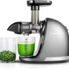AMZCHEF Juicer Machines - Cold Press Slow Juicer - Masticating Juicer for Whole Fruits and Vegetables - Delicate Chew No Need to Filter - BPA Fre