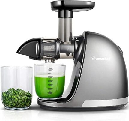 AMZCHEF Juicer Machines - Cold Press Slow Juicer - Masticating Juicer for Whole Fruits and Vegetables - Delicate Chew No Need to Filter - BPA Fre