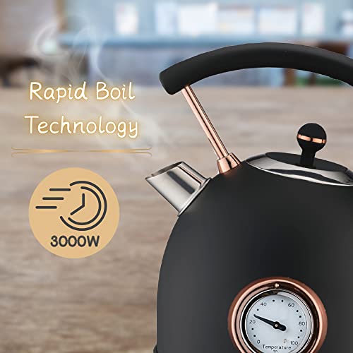Rasonic Classic Retro Electric Kettle 1.8L Stainless Steel, 3KW Fast Quiet Boiling, Temperature Gauge, LED Light, Auto Shut-Off, Home Kitchen, Of