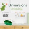 Avoseedo - Grow Your Own Avocado Tree