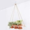 TSKDKIT Ceiling Hooks for Hanging Plants, Heavy Duty Brackets Wall Mount Hooks Metal Ceiling Brackets for Hanging Wind Chimes, Light, Bird Feeder