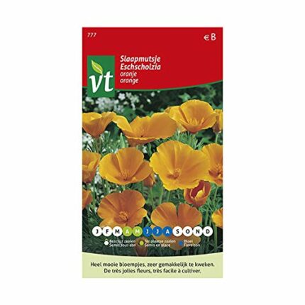 California Poppy, Orange