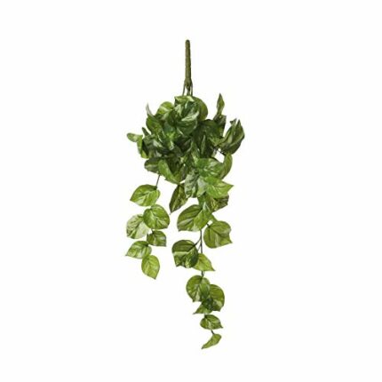 Mica Decorations Pothos Hanging Plant Height 58 cm