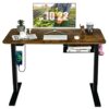 EYHLKM 48" Electric Standing Desk Height Adjustable W/Control Panel & USB Portl Home Office (Color : B)