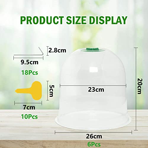 LATERN 6Pcs Garden Plant Cloche, 26cm x 20cm Plant Dome Bell Cover Reusable Plastic Mini Greenhouse for Warming Garden Soil Plants Frost Protect