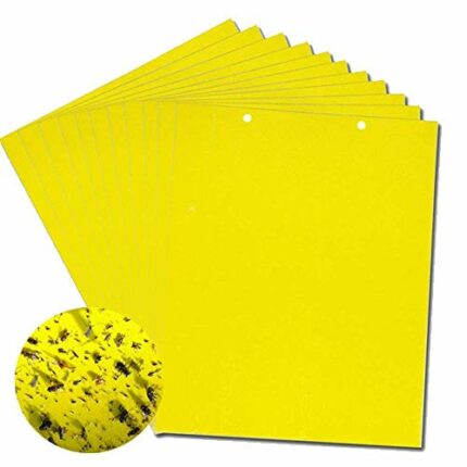 Yellow Sticky Fly Traps,Fly Paper Stickers,Sticky Fly Catchers Dual-Side for Insect against Fungus Gnats, Whiteflies, Aphids, Leafminers,etc- (6x