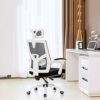 WALNUT Ergonomic Adjustable Office Chair with Adjustable Lumbar Support-High Back with Thickening Sponge Seat Cushion-Adjustable Head-Arm Rests,w