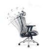 ZXNRTU Relax Comfortably Safe Ergonomic Office Chair High Back Mesh Computer Chair with Lumbar Support Adjustable Armrest, Backrest and Headrest