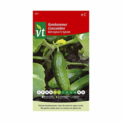 Cucumber Beth Alpha F1 Hybrid Seeds - A Tasty Mini Cucumber - 1 g - Seeds: 35