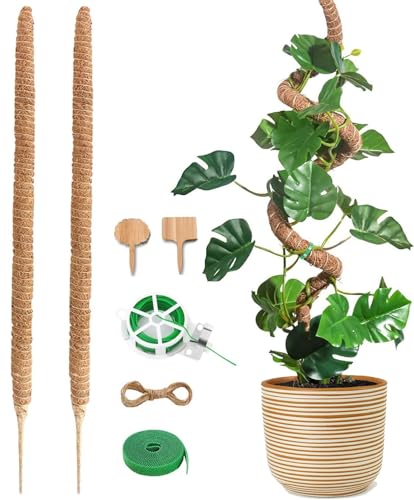 SDZHDMO 2X25 Moss Pole,Moss Pole for Cheese Plant,Bendable Plant Supports, Moss Pole for Monstera,Coco Coir Pole Plant Support,Plants Support Ext