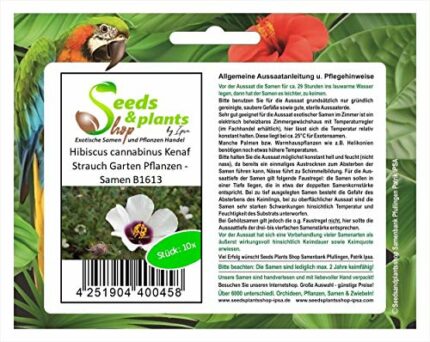 Pcs - 10x Hibiscus Cannabinus Kenaf Bush Garden Plants - Seeds B1613 Plants Shop Samenbank Pfullingen Patrik Ipsa