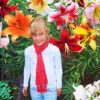 6 Giant Mixed Tree Lily Bulb Large Flower Fragrant Summer Pernnial Garden Plant Corm Collection