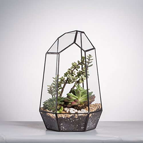 NCYP Geometric Glass Terrarium for Succulent, Air Plants, Fern - 16.5x14.5x25 CM - Modern Garden Irregular Glass Planter Pot - Handmade Indoor Ta