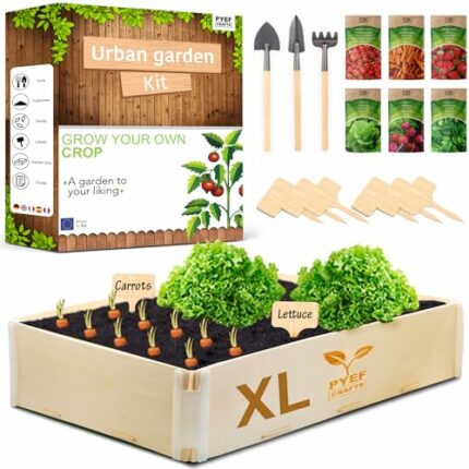 Grow Your Own Kits PYEF CRAFTS - Vegetable Growing Kits for Adults - Grow Your Own Vegetables Indoor Gardening Kit - Plant & Vegetable Growing Ki