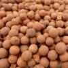 UK GROW Clay Pebbles 1L 2L 3L 4L 5L 6L 7L 8L 9L 10L 20L 30L 50L hydroponic Growing Substrate (1L)