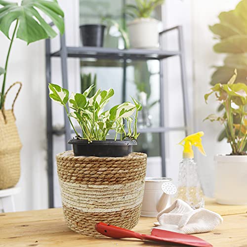 WAIZHIUA 3Pcs Woven Planter Basket with Liner, 3 Sizes Natural Seagrass Woven Plant Pots Flower Pots Baskets Plant Containers Storage Basket for