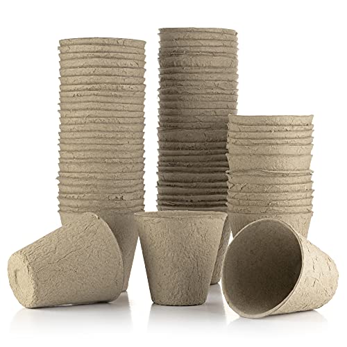 Little Chiltern Co 70 pack Biodegradable Plant Pots for growing Seeds - Round Fibre seedling pots for Outdoor Indoor Growing Plants - Seed starte