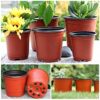 Vockvic 50 Pieces Plastic Plant Pots, Multifunctional Garden Planter, Practical Seed Tray Flower Seeding Nursery Pots, Ideal for Herb Flower Bedd